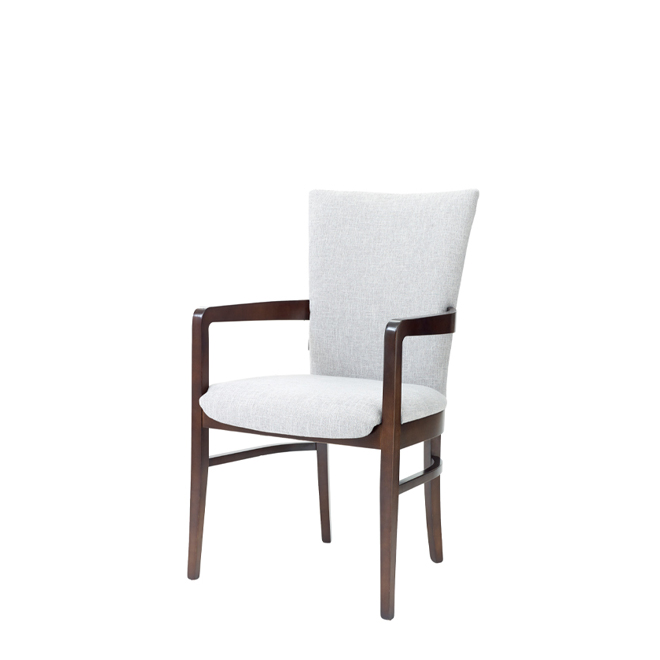 Assisi arm chair