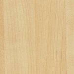 Maple